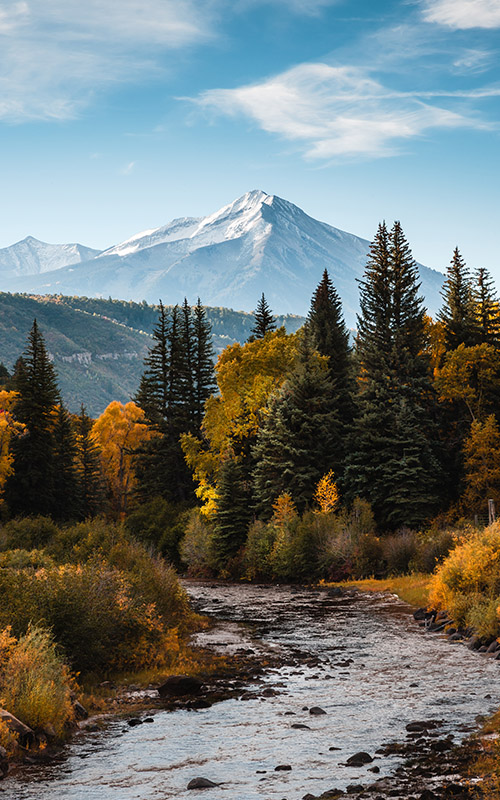 Rocky Mountains seen through the trees and a river