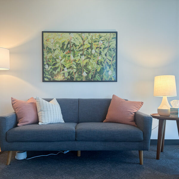 Mindful Therapy Group Austin Northwest Hills therapy room