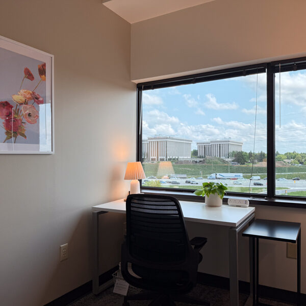 Mindful Therapy Group Bloomington office therapy room