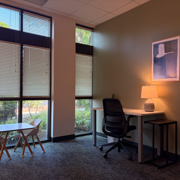 Mindful Therapy Group Eugene office therapy room