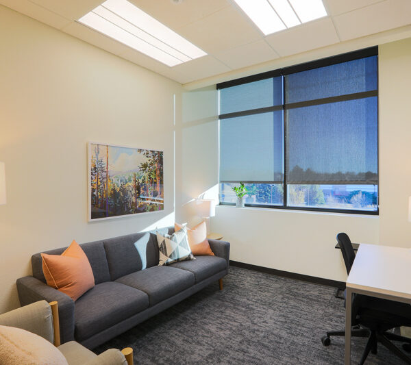Mindful Therapy Group Fort Collins office therapy room