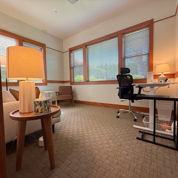 Mindful Therapy Group Regus Medford office therapy room