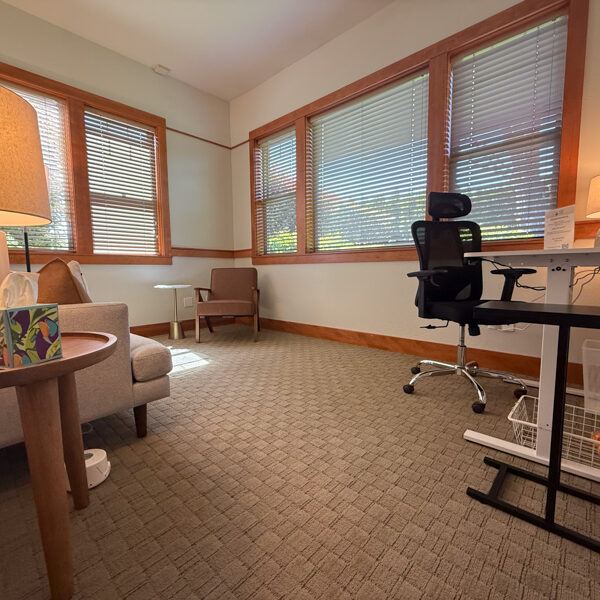 Mindful Therapy Group Regus Medford office therapy room