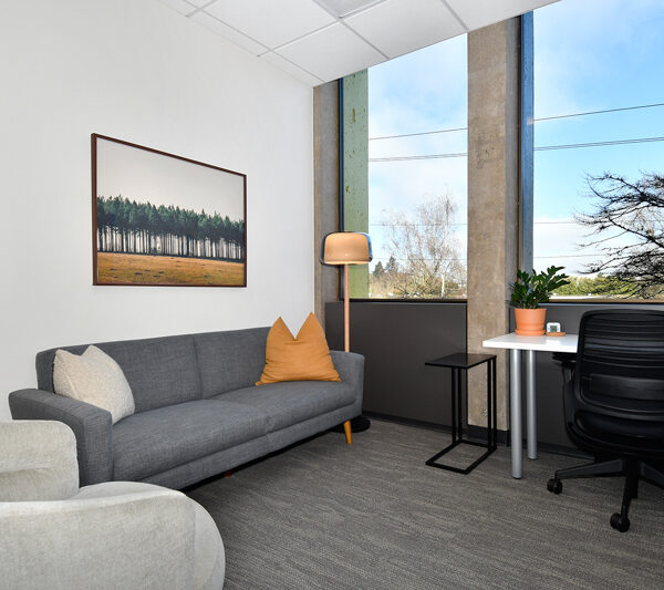Mindful Therapy Group Northeast Portland office therapy room