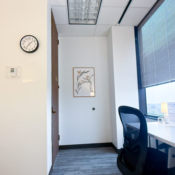 Mindful Therapy Group San Antonio Regus Castle Hills office therapy room