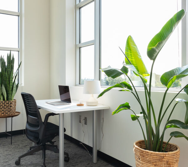 Mindful Therapy Group Tigard therapy room