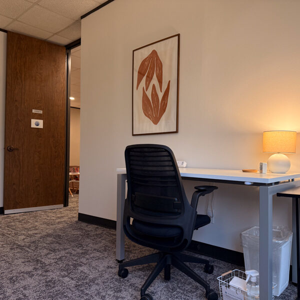 Mindful Therapy Group River Oaks therapy room