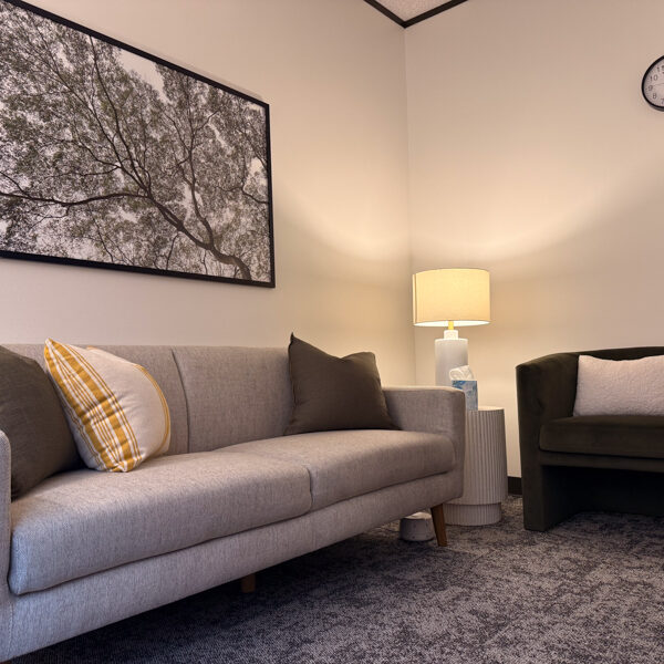 Mindful Therapy Group River Oaks therapy room