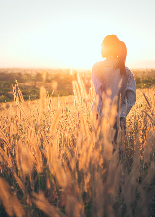 Is Low Cost Counseling Right for You